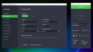 Private Internet Access (PIA) VPN app interface showing advanced customization options for secure browsing